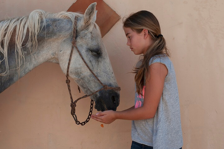 Las Hermanas de Rocinante